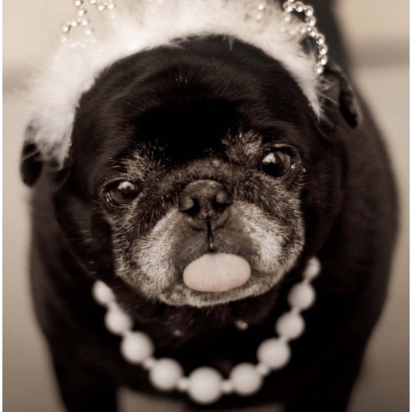 Kut From The Kloth Jeans Size 2 Skinny B.F. NWOT - Picture 12 of 12